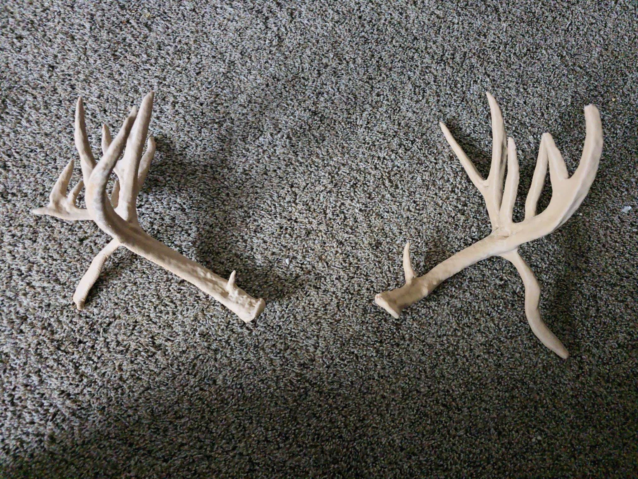 Recreation of Antlers